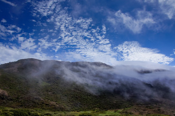 Fototapeta na wymiar Foggy Ridge, Wispy Clouds, Blue Sky and Green Meadows. Marin Headlands, California