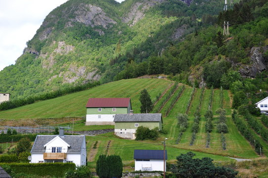 G&auml;rten in Hermansverk am Sognefjord Norwegen