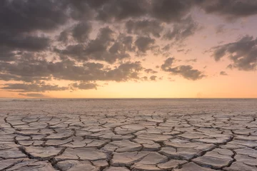 Gordijnen Soil drought cracked landscape sunset © yotrakbutda