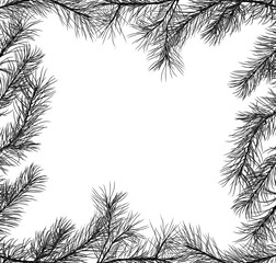 frame from pine black branches isolated on white