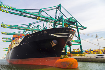 Huge container ship loaded with cranes in Antwerp container terminal