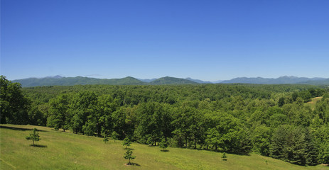 Fototapeta na wymiar Panorama of the Blue Ridge Mountains in Summer
