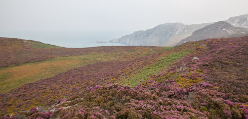 heather and mountains