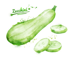 Watercolor zucchini.