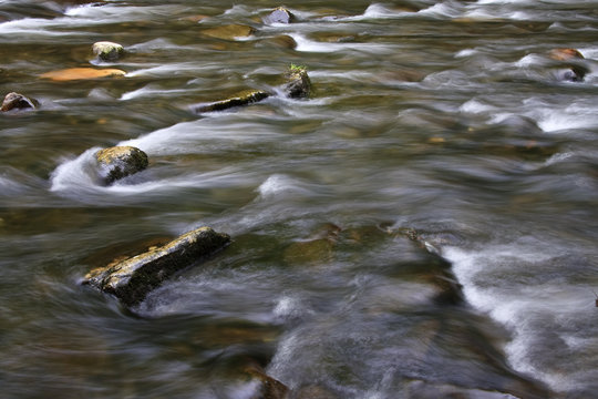 Water Flowing in a Creek