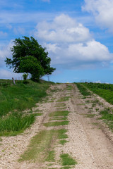 Gravel Road