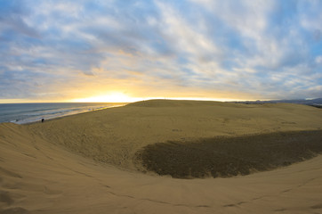 Dunes of Maspalomas