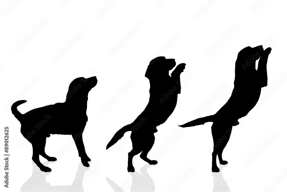 Sticker vector silhouette of a dog.