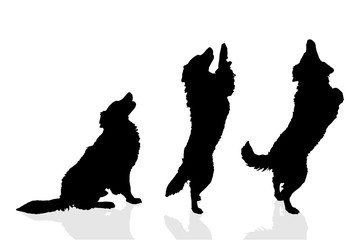 Vector silhouette of a dog.