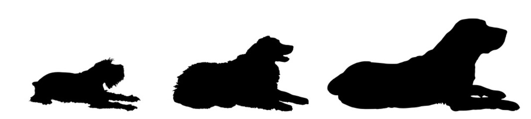 Vector silhouette of a dog.