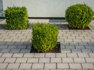 Vorgartengestaltung