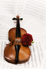 Fototapeta na wymiar old violin with musical notes and rose