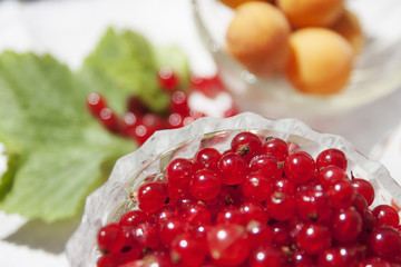 Berries on the table