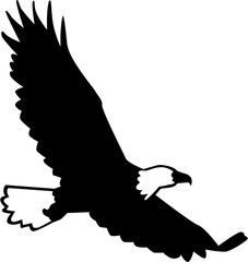 Obraz premium Bald Eagle silhouette flying