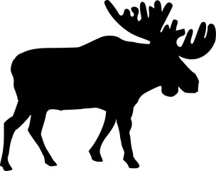 Naklejka premium Real moose silhouette