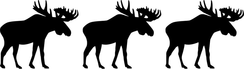 Obraz premium Three moose elk