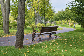 Fototapeta premium Empty bench in a park