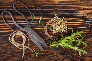 Fresh and dry rosemary herb.
