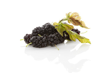 Mulberry fruit.