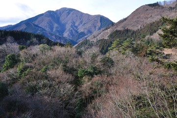大室山