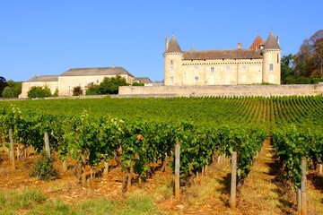 Fototapeta na wymiar Medieval chateau in the beautiful vineyards of Burgundy, France