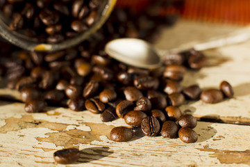 Coffee beans.