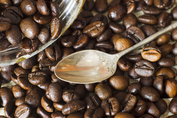 Coffee beans.