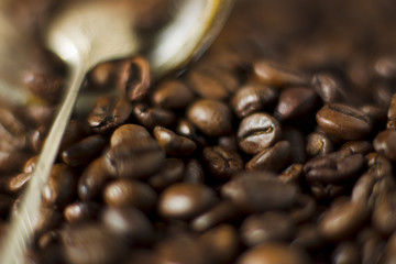 Coffee beans.