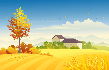 Rural autumn