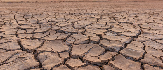 drought land