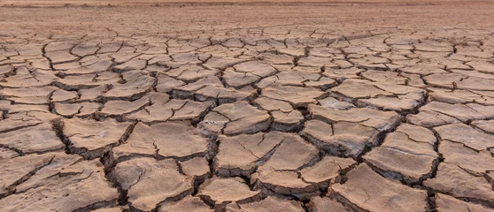  drought land © yotrakbutda