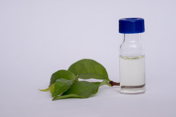 Sample vial and leaf