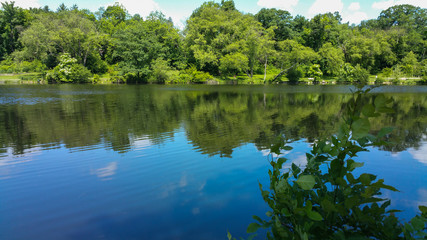 Calm lake with mirror-like reflections on a sunny, summer day
