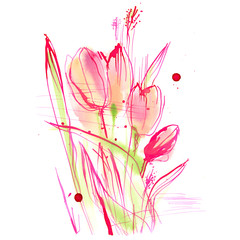 bouquet of pink tulips on a white background/ watercolor ink painting