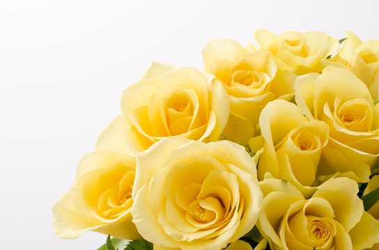 黄色いバラ」の写真素材 | 92,669件の無料イラスト画像 | Adobe Stock