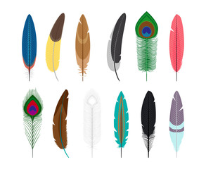 Colored feathers icons