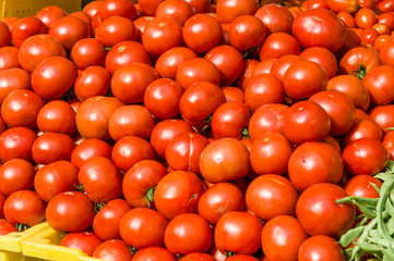 Large display of red tomatoes