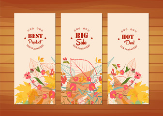 Three autumn banners with stylized autumn leaves