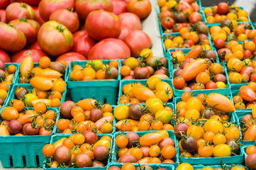 Boxes of small tomatoes at the market