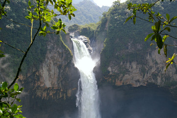 Fototapeta premium San Rafael Falls. The Largest Waterfall in Ecuador