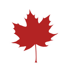 Red organic and natural maple leaf flat icon for apps and websites - obrazy, fototapety, plakaty
