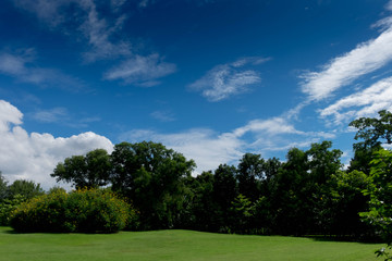 Fototapeta na wymiar Park in daytime background