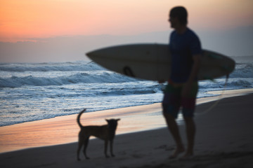 Dog and Surfer