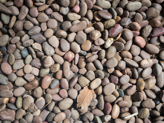 Color pebble stone in background
