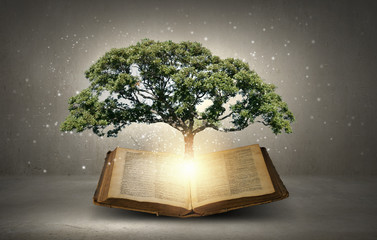 Reading develops imagination © Sergey Nivens