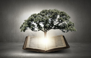 Reading and self education