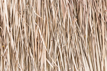 Thatch roof background, hay or dry grass background.