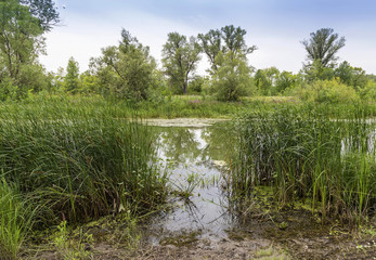 Озеро © dmitryx66