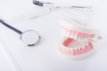 歯の模型と聴診器