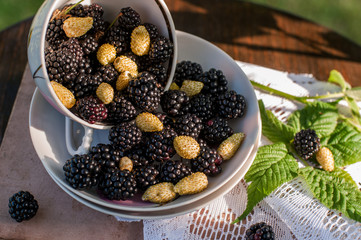 blackberries
